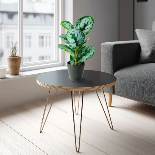 Kunstig dekorativ plante med zebramønstret blad i grøn og hvid