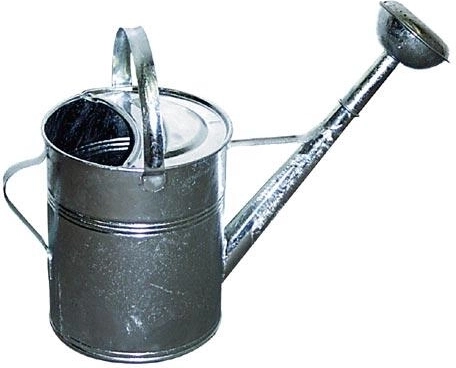 Havevandkande af galvaniseret stål 9 l med spreder
