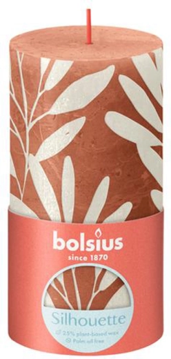 Rustik lys koral og salvie 130 × 68 mm