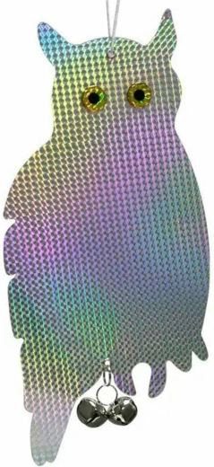 OD19 ODRADÍ PTÁKY SEDÍCÍ SOVA