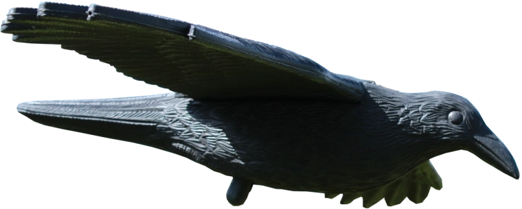 Fugleskræmmer ravn 80 × 44 × 12 cm