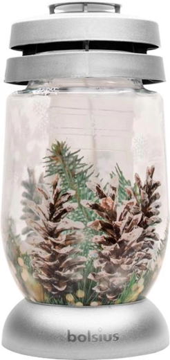 Gravlanterne Bolsius sølvfyr 22 cm - 1 stk.