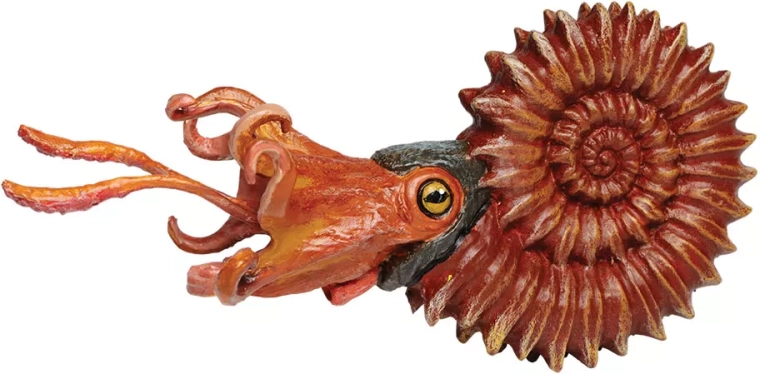 Safari Ltd. ammonit – håndmalet figur