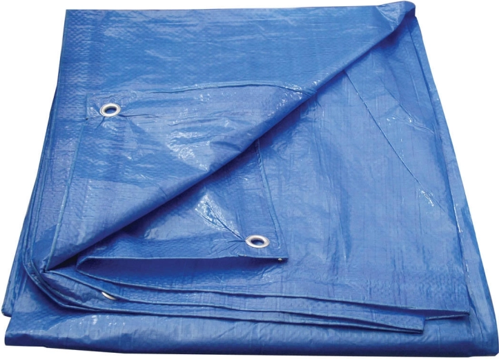 Dækkesejl med øjer 5 × 8 m, blå – Economy