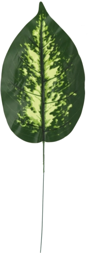 Sæt med kunstige dieffenbachia-kviste, 12 stk.