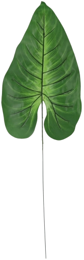 Sæt med kunstige alocasia-grene med blade – 12 stk.