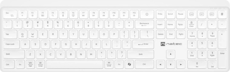 Trådløst lydløst tastatur Natec Tang US hvidt