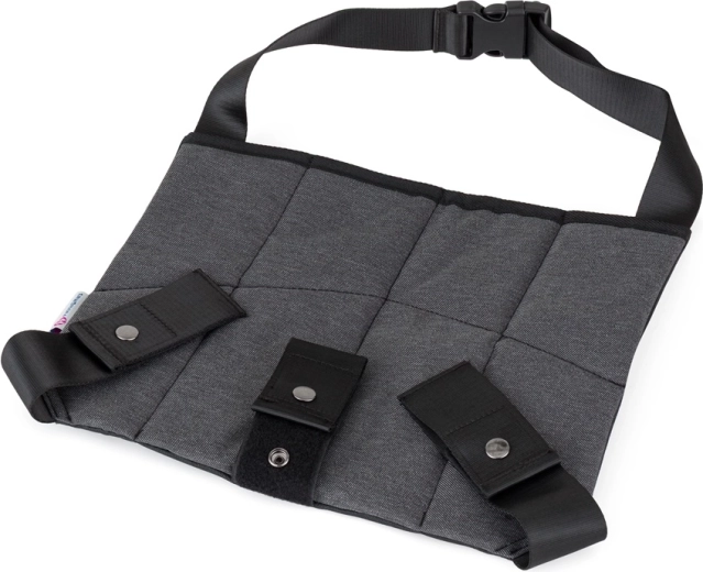 Graviditetssikkerhedssele til bil PETITE&MARS Beltley