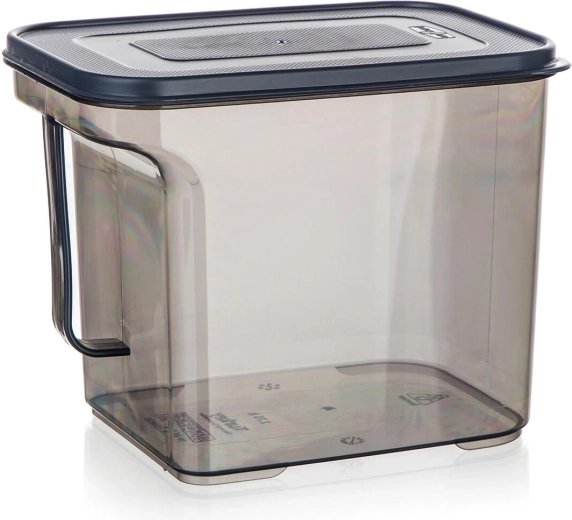 Plastboks med hank 2,75 l Zoya