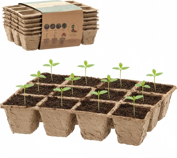 Sæt med 6 biologisk nedbrydelige såbakker 21 × 17 × 4,5 cm