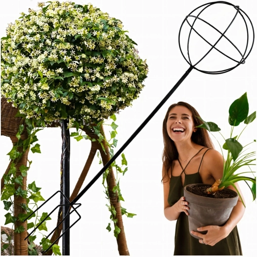 Metallisk have-støtte til klatreplanter 50 × 10 cm – sort