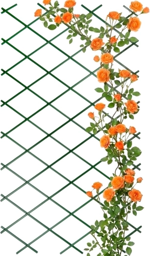 Grøn udtrækkelig espalier til klatreplanter 200 × 100 cm