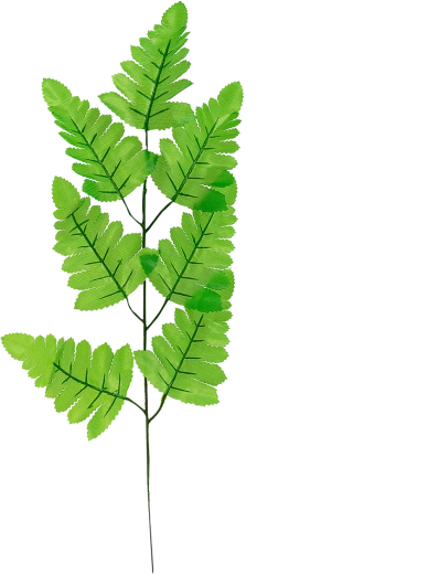 Syntetisk bregneblad 40 cm på kvist