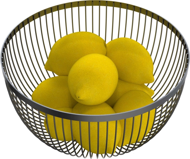 Trådfad til frugt, sort 24,6 × 14,6 cm