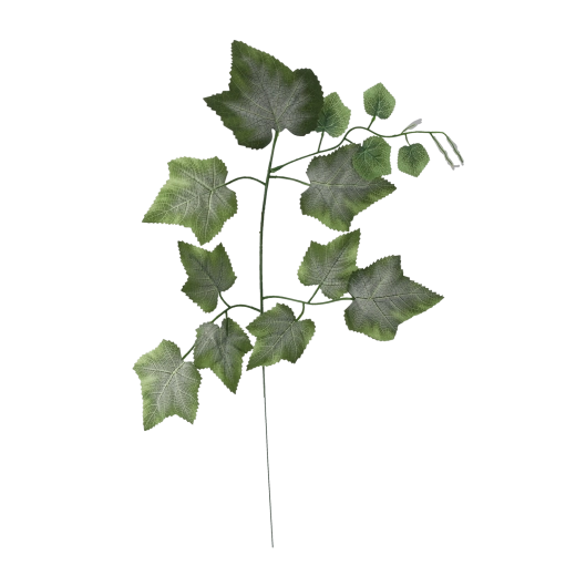 Vindrueblad