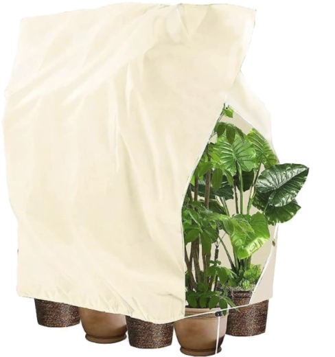 Beskyttende vinterovertræk til planter med snøre 2 × 2,4 m, 80 g, beige