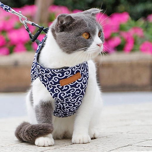 Komfortabel sele til katte og hunde – Blå S