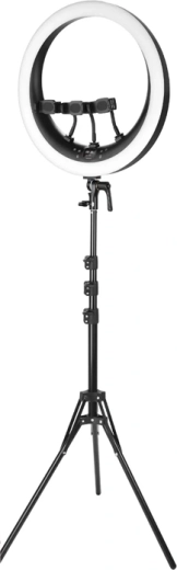 Rundt LED-lys NEEWER RP19H 19 tommer med stativ og telefonholdere