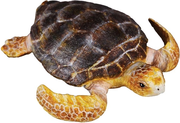 Skildpadde