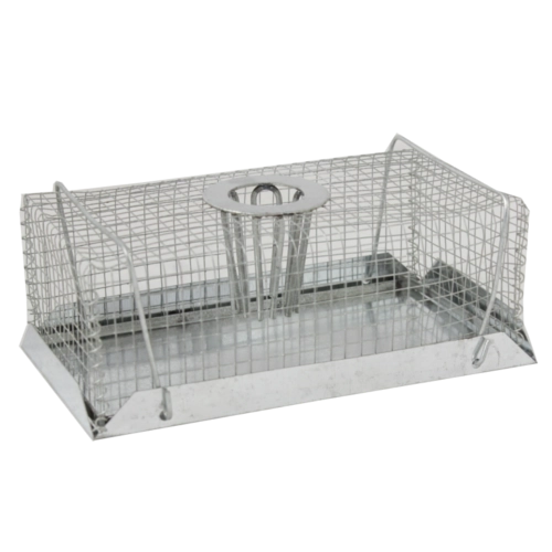 Levende fælde til mus og rotter 29,5 × 13 × 15 cm