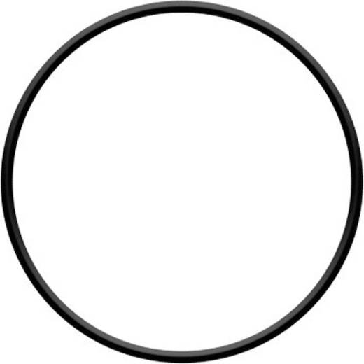 O-ring til filterhoved til ProStar 4 og ProStar 6