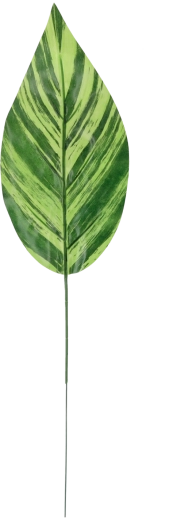 Sæt med 12 kunstige grønne kviste 48 × 12 cm