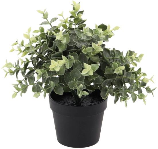 Kunstig eucalyptus i urtepotte 22 cm