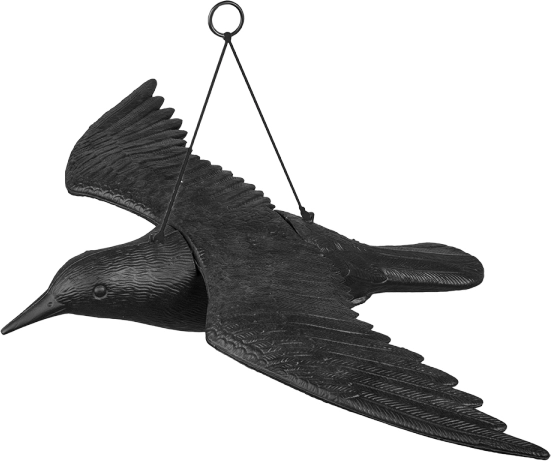 ophængt fugleskræmmer ravn