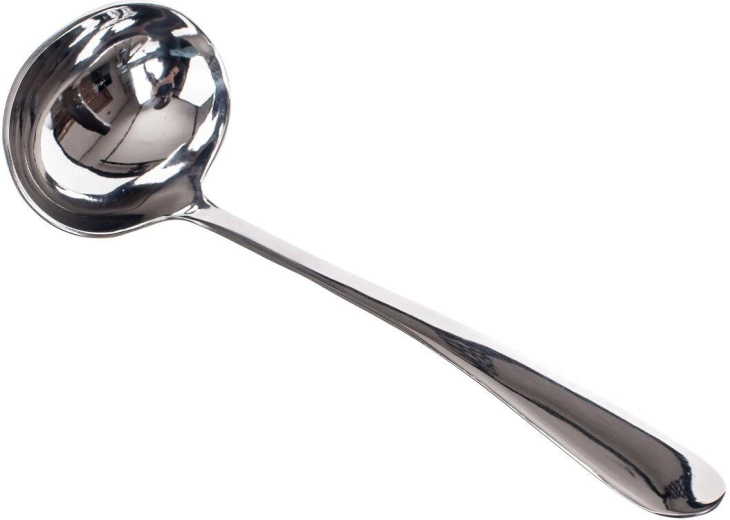 Serveringsske Colette i rustfrit stål