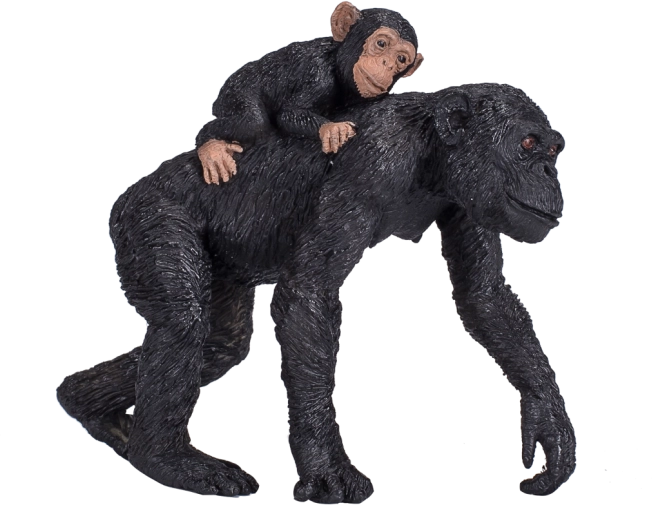 Mojo chimpanse med unge