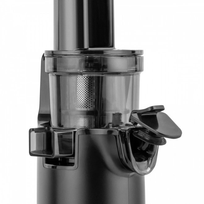 Slow Juicer Teesa TSA3233