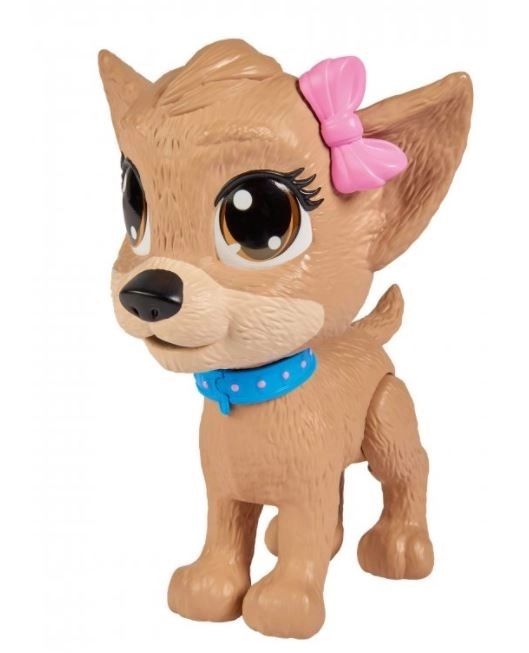 CCL Hund Chihuahua Pii Pii