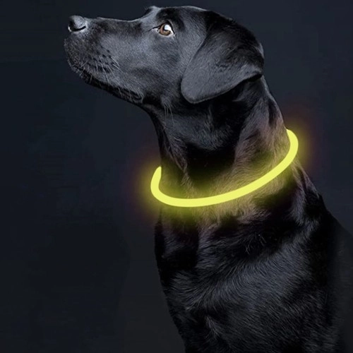 Lysende LED-halsbånd til hunde og katte