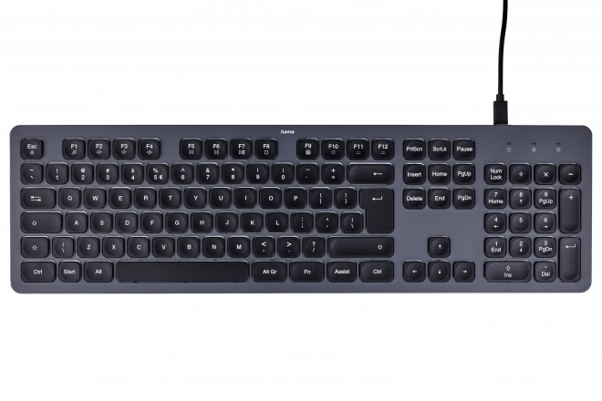 Hama CK-400 kabletastatur sort-grå