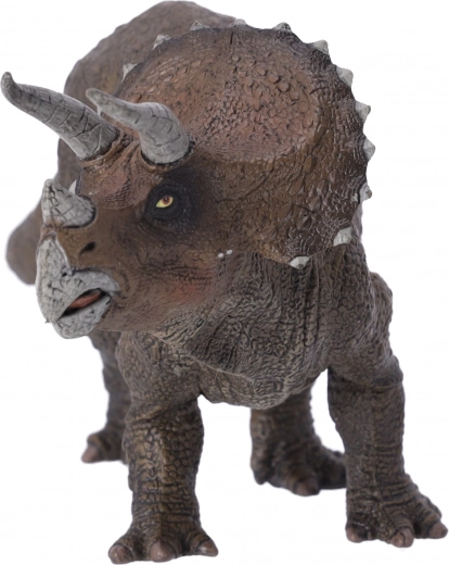 Perfekt til alle aldersgrupper