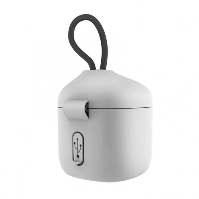 Vandtæt oplader Telesin Allin box til GoPro Hero 9 / Hero 10 + 3 batterier