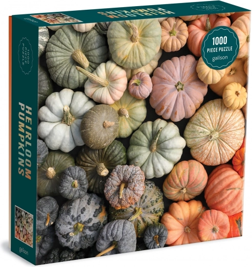 Premiummotiv “Heirloom Pumpkins”