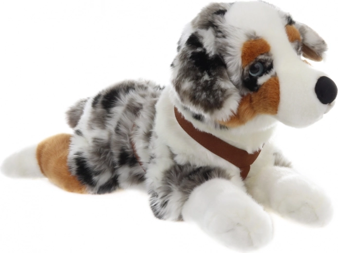 Realistisk udseende af australsk hyrdehund