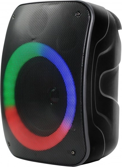 Bluetooth-højttaler Stage 300
