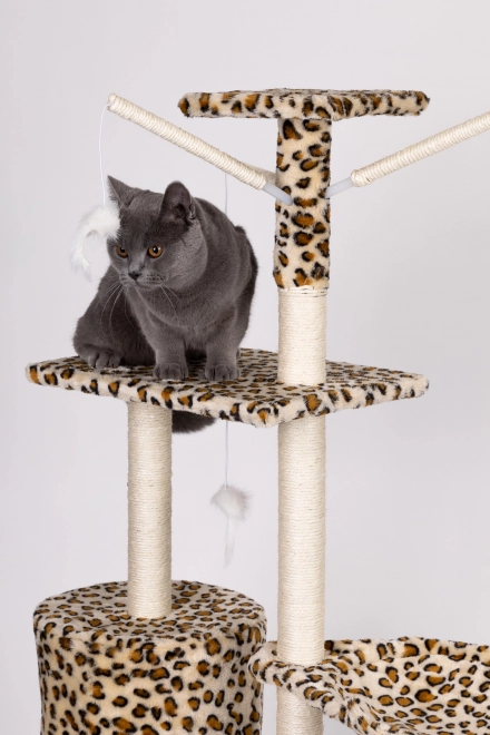 Kradsæt til katte, hus, træ, seng, 138 cm xl, Panther