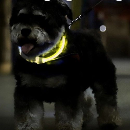 Lysende LED-halsbånd til hunde og katte