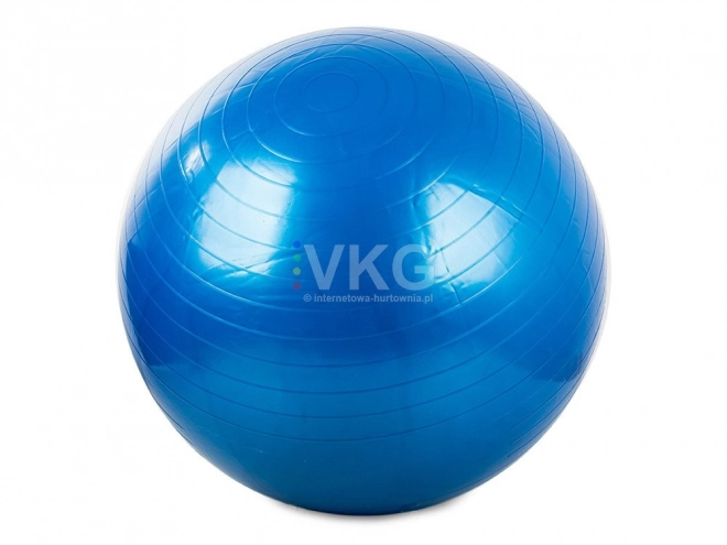 Gymnastikbold Fitness 65 cm med pumpe
