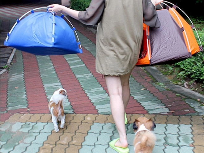 Vandtæt foldetelt til hunde