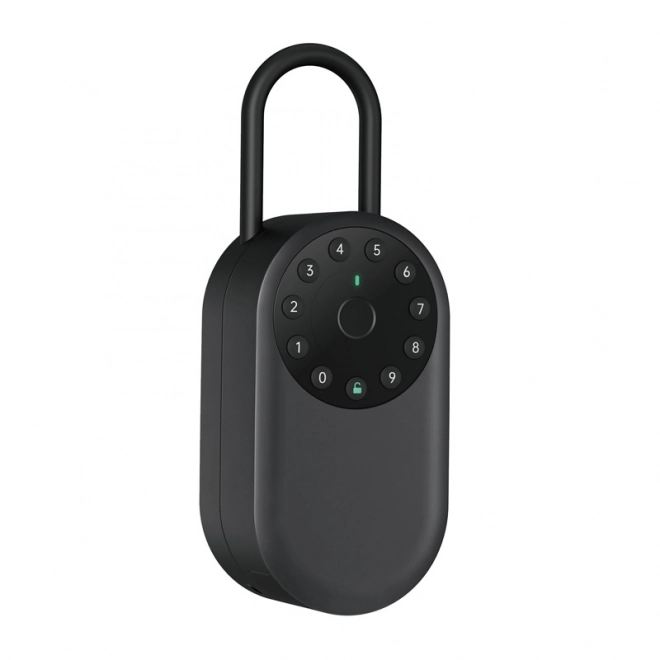 Smart sikkerhedsboks med fingeraftryk Lockin YEEUU