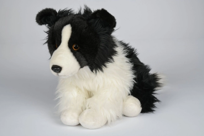Plys Border collie 35 cm