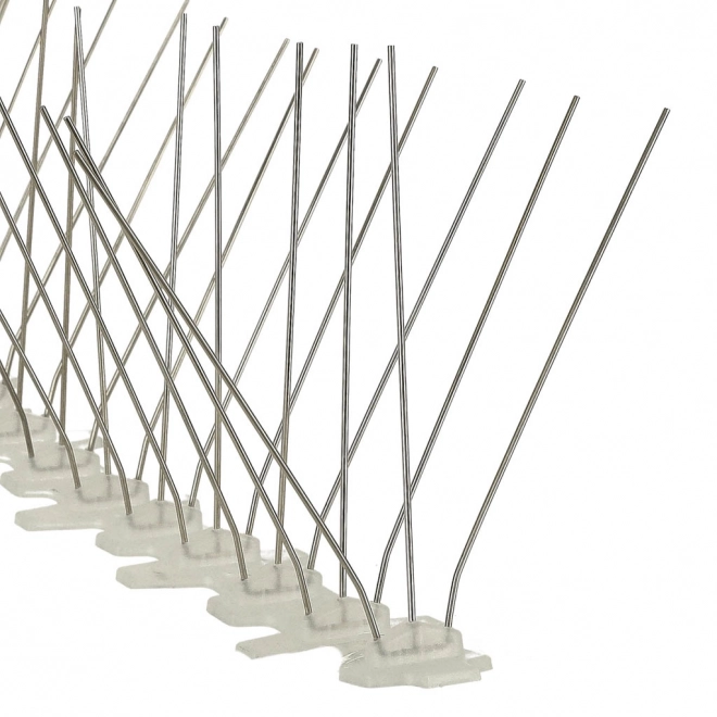 Pigge mod duer 50cm x 11cm x 4cm