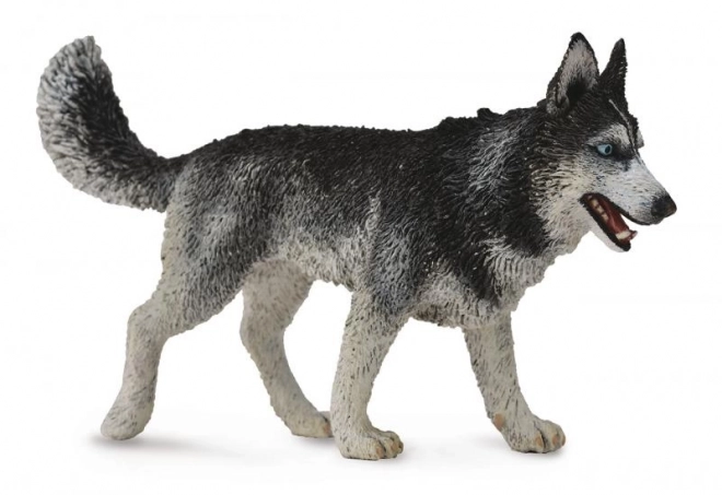 Sibirisk husky figur