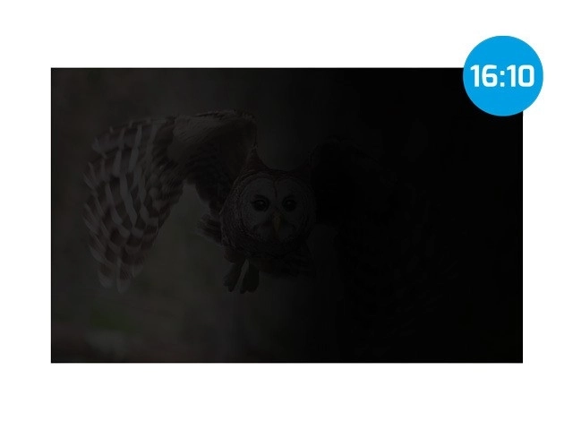 Natec Owl datasikringsfilter 16 tommer 16:10