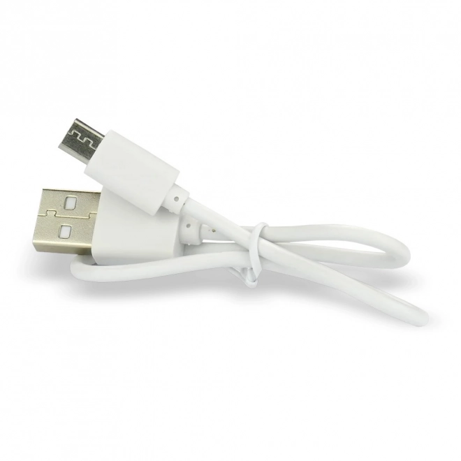 Genopladeligt batteri EverActive 16340 700 mAh med micro USB