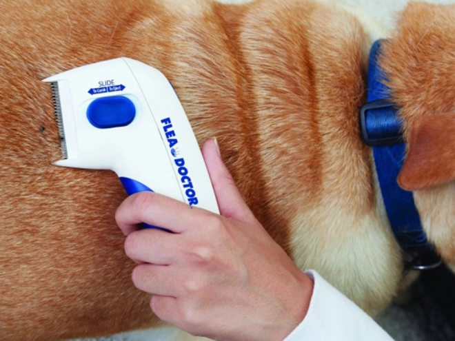 Elektrisk loppekam til hunde og katte
